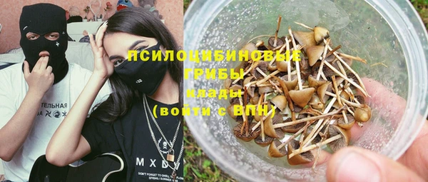 прущая мука Елабуга