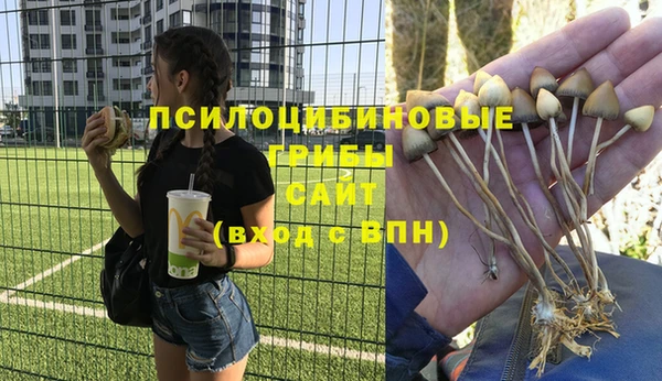 спайс Алзамай